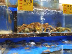 水产区-河马鲜生海鲜超市(风荷园店)