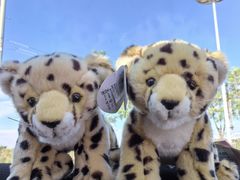 -鄂尔多斯野生动物园