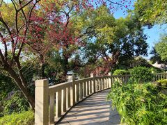 -乌山风景区