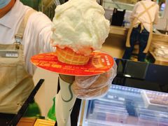 -野人先生现做冰淇淋(西安赛格店)