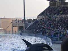 -上海海昌海洋公园