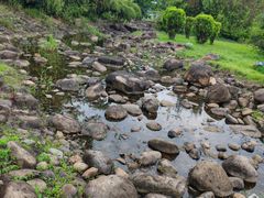 -白塘生态植物园