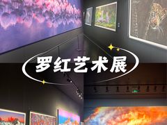 -罗红摄影艺术馆