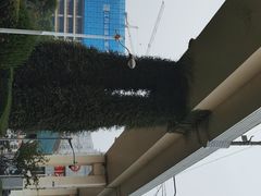 -漕溪路(地铁站)