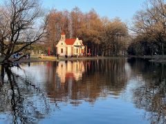 -上海共青森林公园