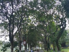 -东莞植物园