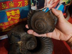 -吉祥圣雪藏餐
