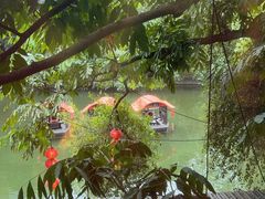 -侨美·唐荔园·40年地道粤菜