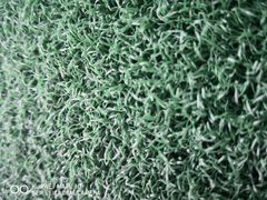 -金鸡湖高尔夫会员专属俱乐部