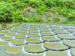 -溪口-滕头旅游景区