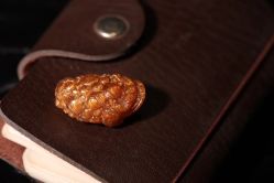 -藏晶堂(丰盛里店)