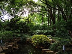 -上海醉白池公园