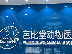 -芭比堂动物医院·CT·微创中心(新顺分院)