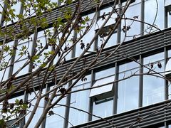 -素满香·素食自助餐(西安·民乐园店)