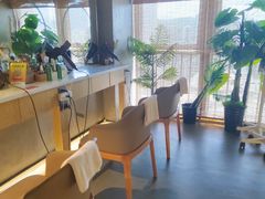 -施奈儿.洗头頭療.按摩SPA.采耳(上梅林店)
