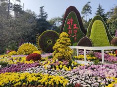-南山植物园