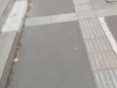 -古南都·老广东酒楼(龙江店)