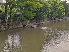 -晓港公园