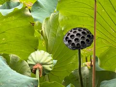 -莹珠阁·私房菜