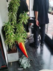 -一東造型烫发染发