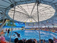 -尼莫海豚馆