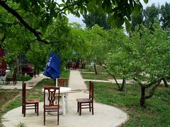 烧烤乐园一角-古韵山庄