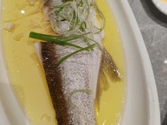 -老绍兴养和饭店(向阳不夜城店)