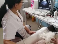 -瑞派福兴宠物医院犬猫全科·骨科·中西医结合(河东店)