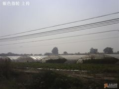 大蓬-西瓜小镇