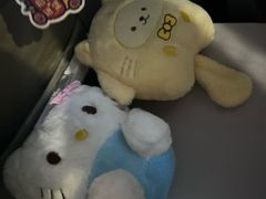 -海底捞火锅(翔龙天地广场店)