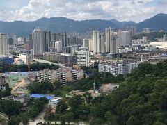 -金鸡山公园