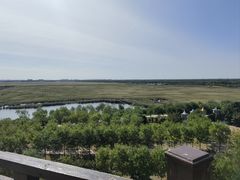 -南大港湿地风景区