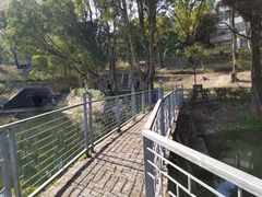 -大埔公路-马料水段香港中文大学(公交站)