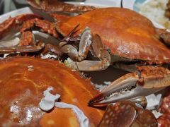 -渔民船说·北塘海鲜·天津菜·海肠捞饭(北塘古镇店)
