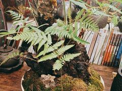 -道南書院·私房菜·早午茶·茶馆