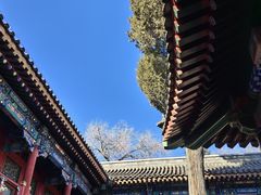 -恭王府博物馆