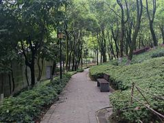 -重庆市江北嘴中央商务区中央公园