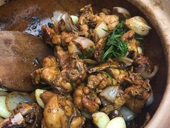 狠火啫啫鸡-狠火靠杯·啫啫·潮卤·烧腊(台北一路店)