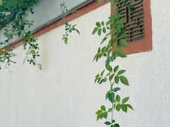 -龙华寺