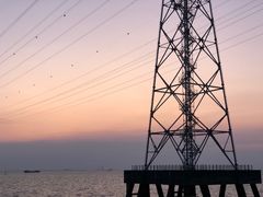 -宝安西湾红树林湿地公园