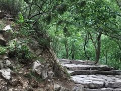 -北京鹫峰国家森林公园