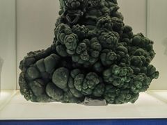-中国地质博物馆
