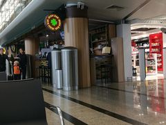 -谢列梅捷沃国际机场