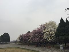 景点&nbsp;秦始皇陵前-秦始皇帝陵博物院-丽山园