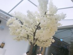 -艾薯夫妇Aysh(福田星河COCOPark店)
