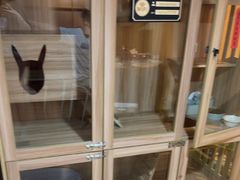 -白兔子密室(长寿路店)