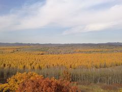 -塞罕坝国家级自然保护区