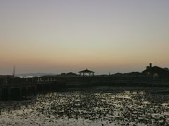 -新木器时代餐厅(太湖新天地店)