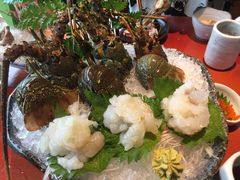 -初花·日本料理