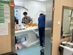 -康成宠物医院24H·CT·核磁共振